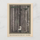 Carte Postale Seul au milieu des bois Kay Nielsen (Devant)