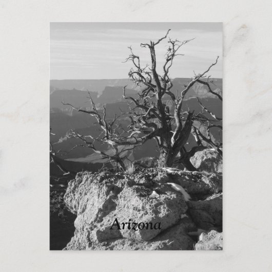 Carte Postale Seul en Arizona (Devant)