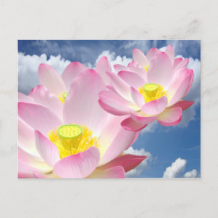 Carte Postale Seule une Blossom Lotus + votre texte et vos idées