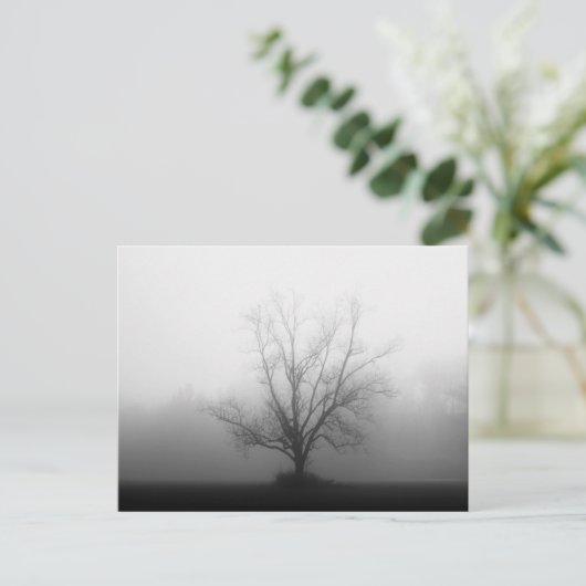 Carte Postale Seulement (Debout devant)