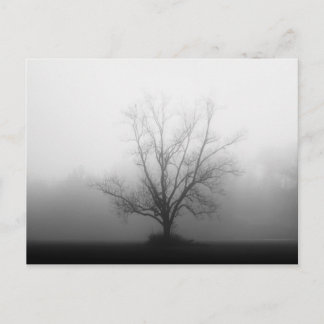 Carte Postale Seulement