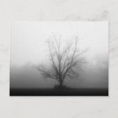 Carte Postale Seulement (Devant)