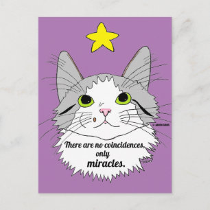 Carte Postale Seulement Miracles Inspiration Ragdoll Chat