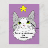 Carte Postale Seulement Miracles Inspiration Ragdoll Chat (Devant)