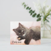 Carte Postale Seulement vous (Debout devant)