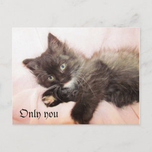 Carte Postale Seulement vous