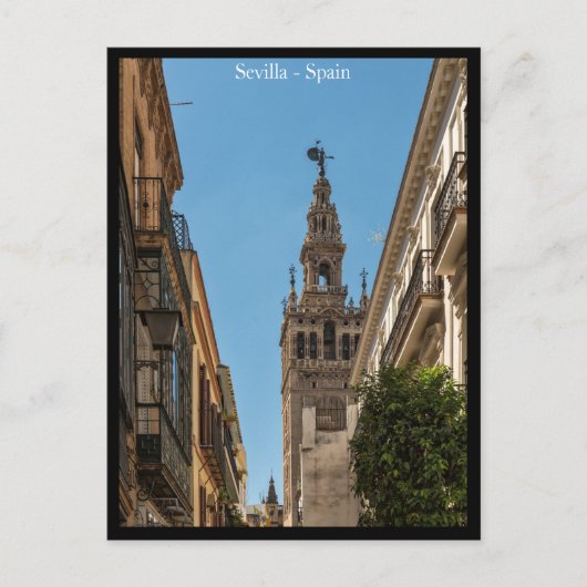Carte postale Sevilla City, Espagne (Devant)