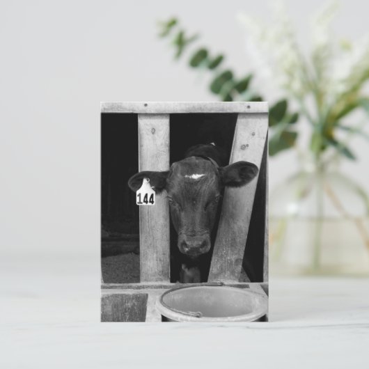 Carte Postale Sevré (Debout devant)