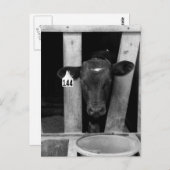 Carte Postale Sevré (Devant / Derrière)