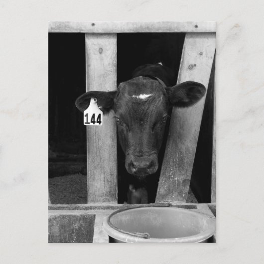 Carte Postale Sevré (Devant)