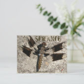 Carte Postale Sewanee Dragonfly - OlioStudios.com (Debout devant)