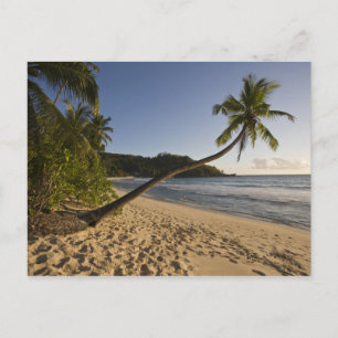 Carte Postale Seychelles, île de Mahe, plage d'Anse Takamaka,