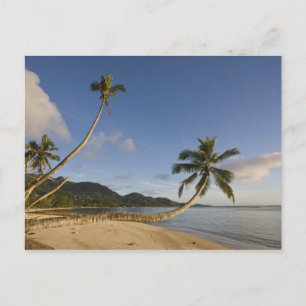 Carte Postale Seychelles, île Mahe, palmier horizontal,