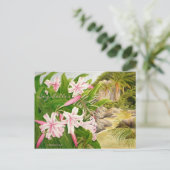 Carte Postale Seychelles Lily (Debout devant)