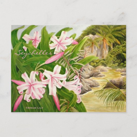 Carte Postale Seychelles Lily (Devant)