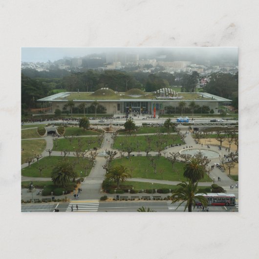 Carte postale SF California Academy of Sciences (Devant)