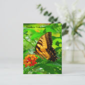 Carte postale SG Jaune Swallowtail #245N 0245 (Debout devant)