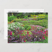 Carte postale SG Landscape #170N 0170 (Devant / Derrière)