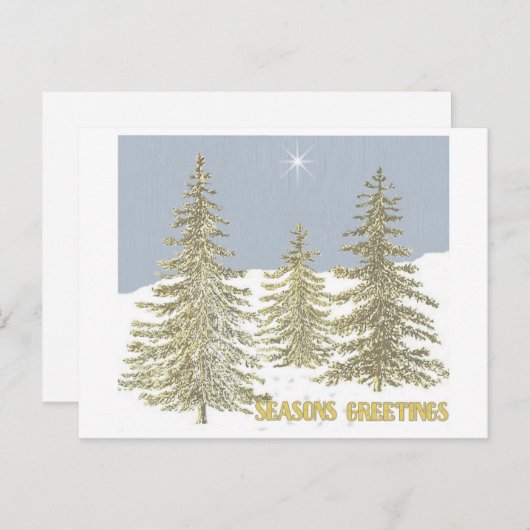 Carte Postale SG-Trees & Star (Devant / Derrière)