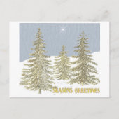 Carte Postale SG-Trees & Star (Devant)