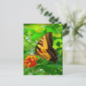 Carte postale SG Yellow Swallowtail #81N  081 (Debout devant)