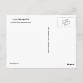 Carte postale SG Yellow Swallowtail #81N  081 (Dos)