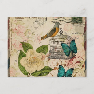 Carte Postale shabby élégance botanique oiseau français provinci