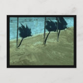 Carte postale Shadows (Devant)