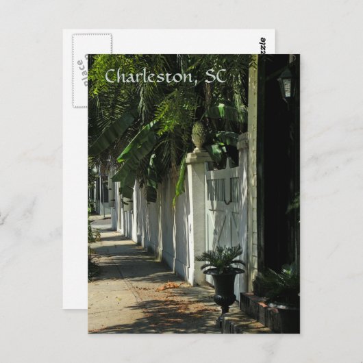 Carte postale Shady Charleston (Devant / Derrière)