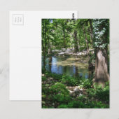 Carte Postale Shady Texas Creek (Devant / Derrière)