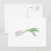 Carte Postale Shallots (Devant / Derrière)