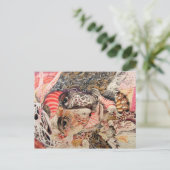 CARTE POSTALE SHAMAN PORTRAIT (Debout devant)