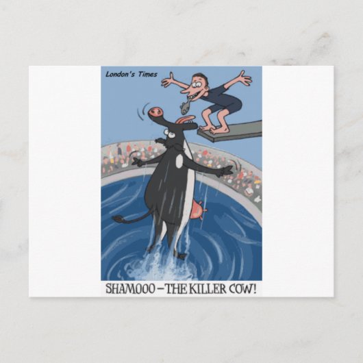 Carte Postale Shamooo Drôle Vache Cadeaux et Objets de collectio (Devant)