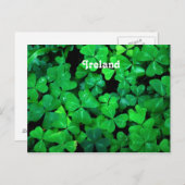 Carte Postale Shamrock irlandais (Devant / Derrière)