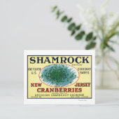 Carte Postale Shamrock Marque Cranberry Étiquette (Debout devant)