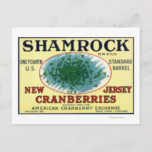Carte Postale Shamrock Marque Cranberry Étiquette