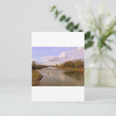 Carte Postale Shannon (Debout devant)