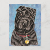 Carte Postale Shar-Pei Chien chinois - Tia (Devant)