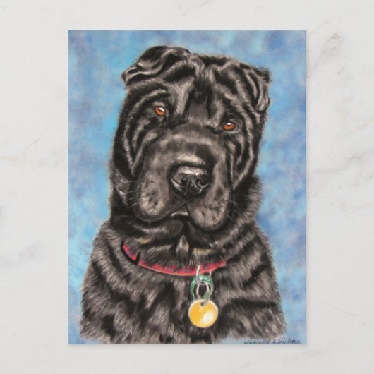 Carte Postale Shar-Pei Chien chinois - Tia (Devant)