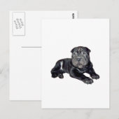 Carte Postale Shar-Pei Chinois - chiot noir (Devant / Derrière)