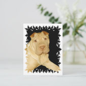 Carte postale Shar Pei Dog (Debout devant)