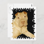 Carte postale Shar Pei Dog (Devant / Derrière)