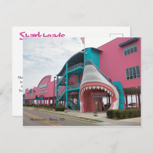 Carte Postale Sharkheads Souvenir Shop - Biloxi MS Postcard (Devant / Derrière)