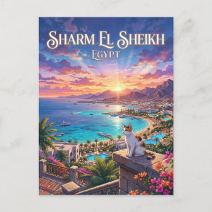 Carte Postale Sharm El Sheikh Égypte