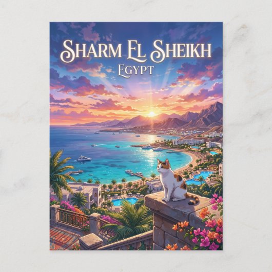 Carte Postale Sharm El Sheikh Égypte (Devant)