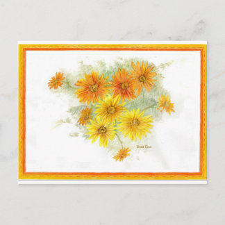 Carte Postale Shasta Daisies après la pluie