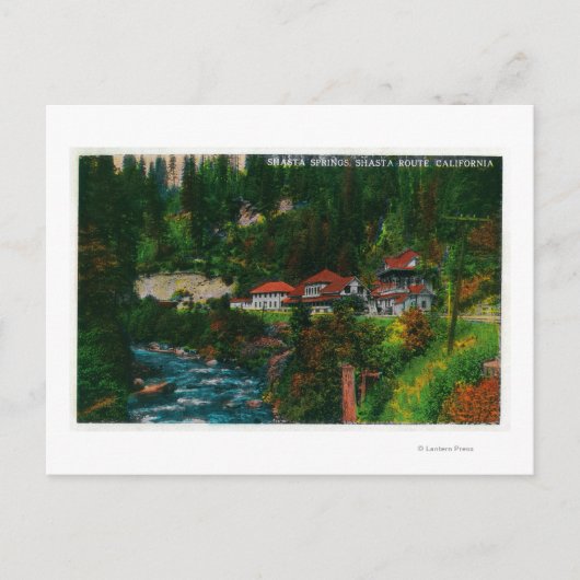 Carte Postale Shasta Springs sur la Shasta RouteShasta, CA (Devant)
