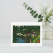 Carte Postale Shasta Springs sur la Shasta RouteShasta, CA (Debout devant)