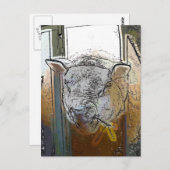 CARTE POSTALE SHEEP (Devant / Derrière)