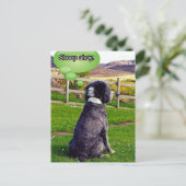 Carte postale Sheep Ahoy (Debout devant)